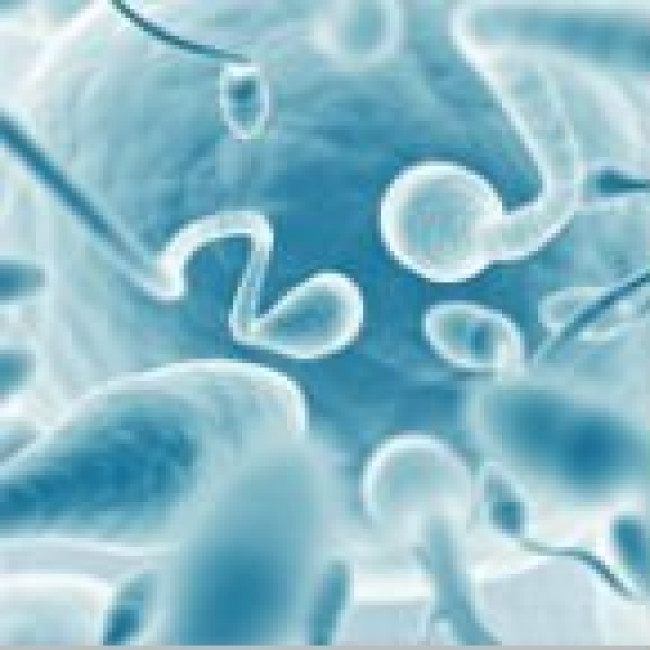 Семяизвержение - этот простой сложный процесс