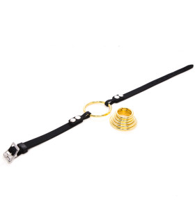 Кляп-кільце зі змінними кільцями gold NO TABOO - No Taboo