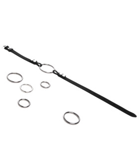 Кляп-кільце зі змінними кільцями Silver NO TABOO - No Taboo