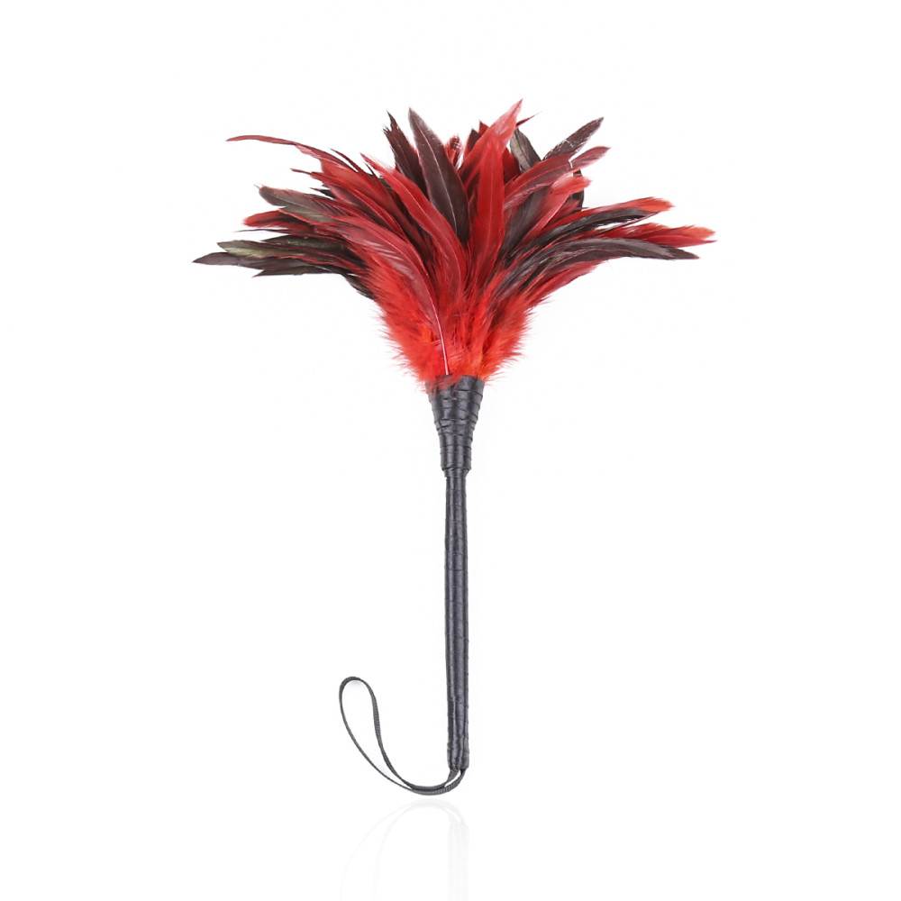 Метелочка с перьям бордо NO TABOO (33149), zoom