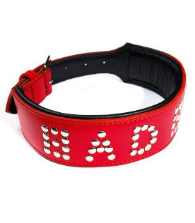 Ошейник BAD BOY Голландия, 55 см ручная работа - No Taboo