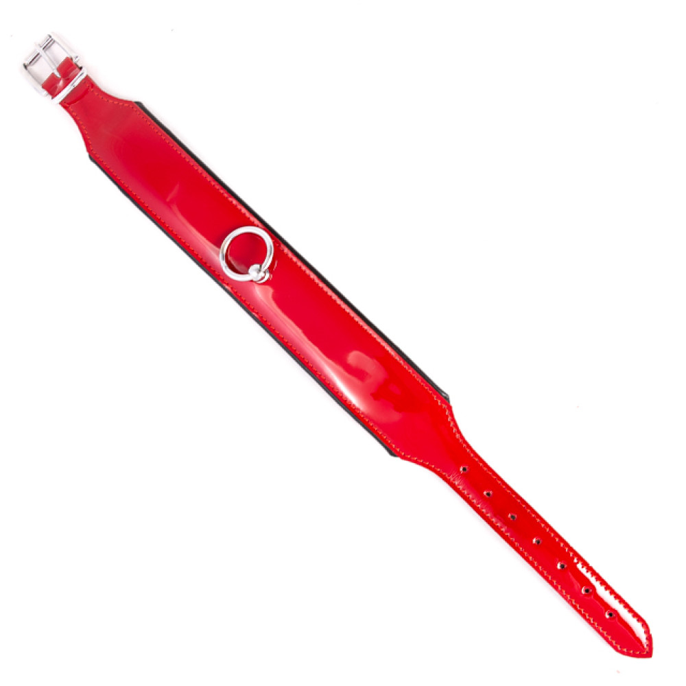 Ошейник из лакированной кожи Голландия ручная работа (28595), zoom