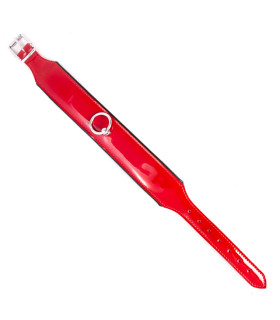 Ошейник из лакированной кожи Голландия ручная работа - No Taboo