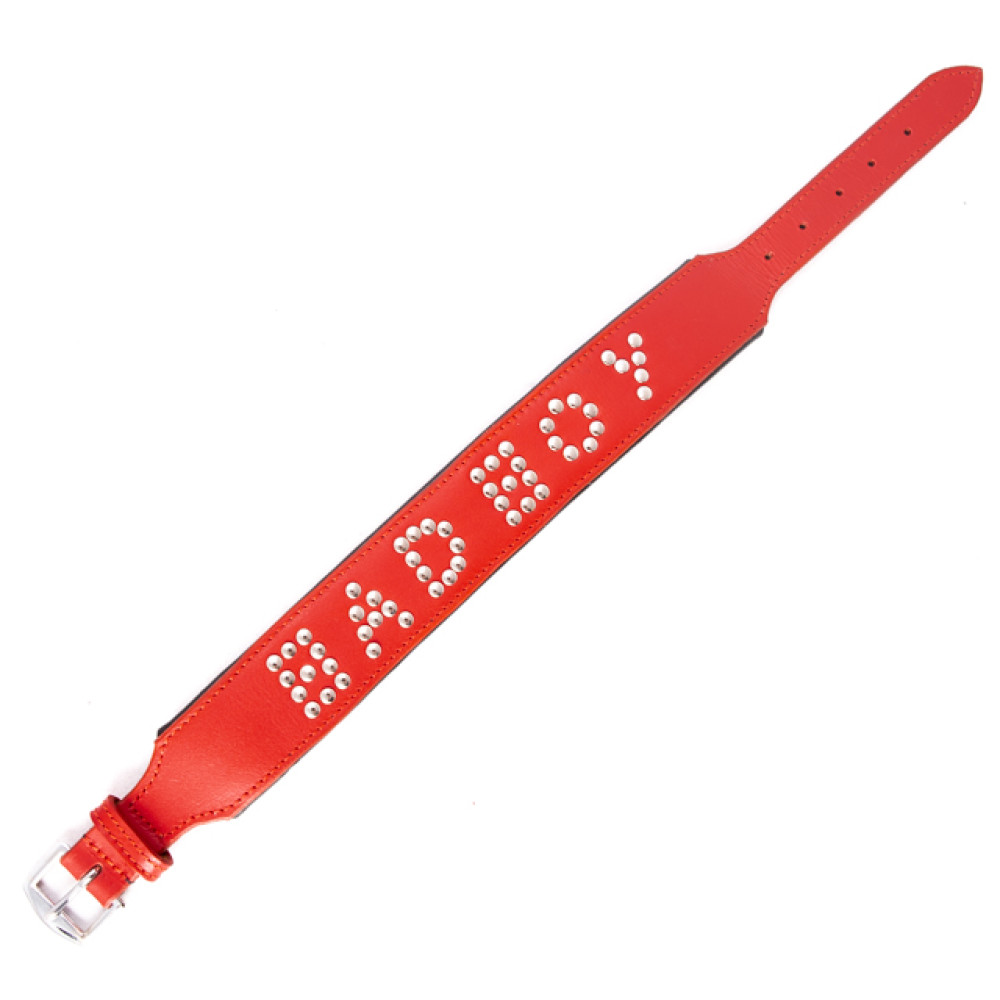 Нашийник червоний шкіра BAD BOY ручна робота, Голландія (28608), zoom