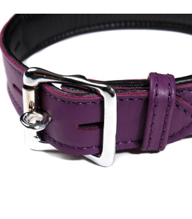 Ошейник кожаный с кольцом фиолетовый Голландия ручная работа - No Taboo