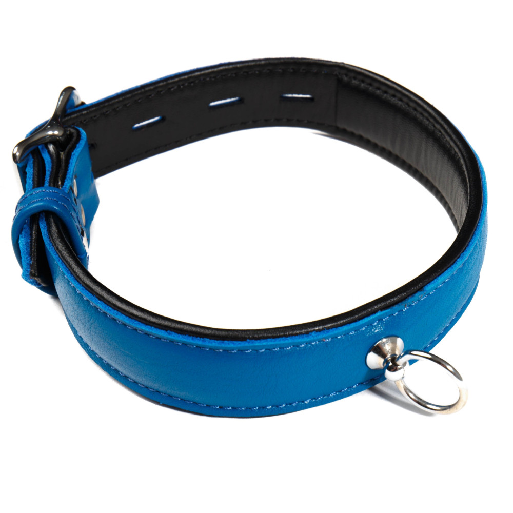 Ошейник кожаный синий Голландия ручная работа (28589), zoom