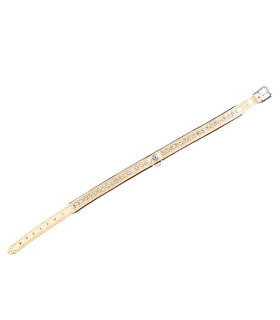 Ошейник золотой кожаный украшенный камнями Голландия ручная работа - No Taboo