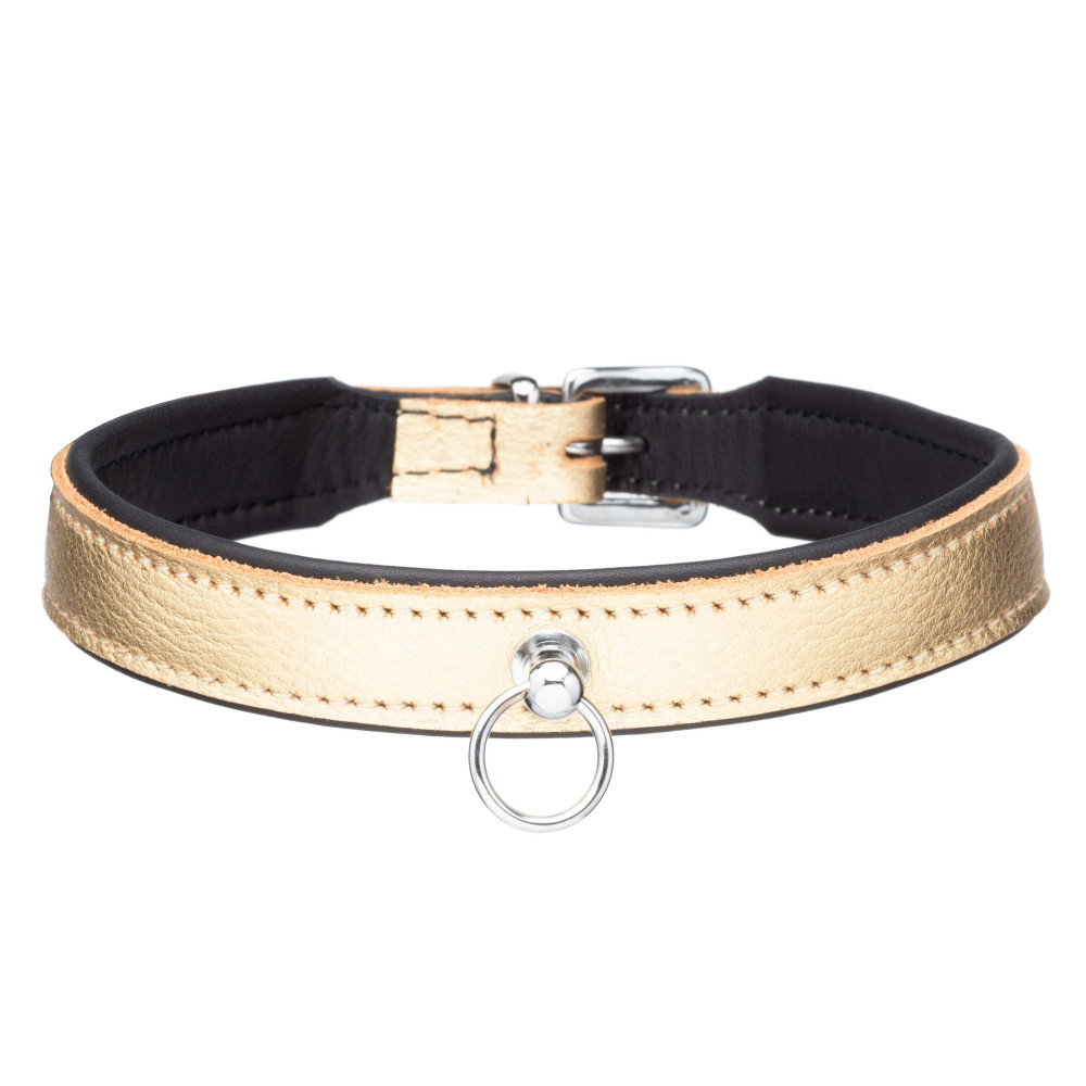 Ошейник кожаный золотой с кольцом Голландия ручная работа (35000), zoom