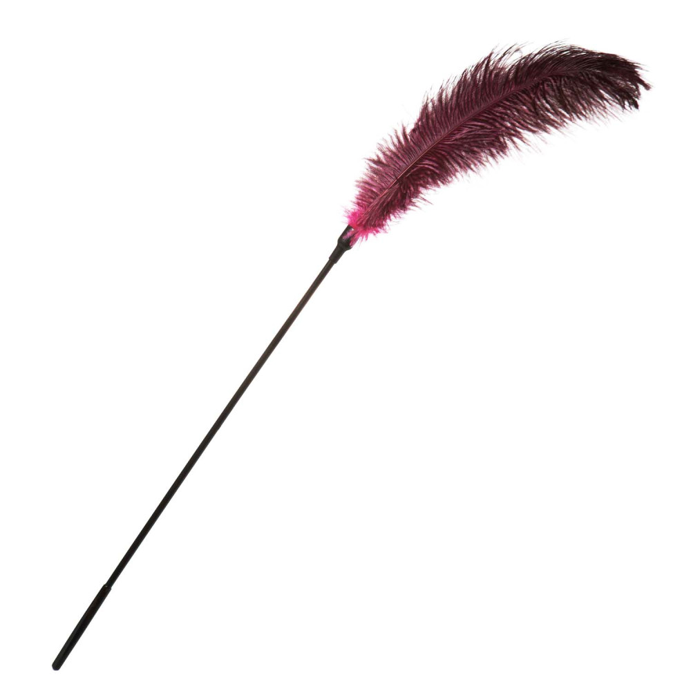 Перо на ручці бордо велике NO TABOO (34201), zoom