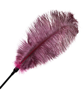 Перо на ручці бордо велике NO TABOO - No Taboo