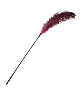 Перо на ручці бордо велике NO TABOO - No Taboo