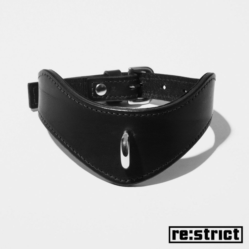 RESTRICT Ошейник Tainted (матовый) M/L (24179), zoom