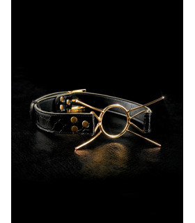 Кляп-паук, металлический Fetish 3,8 см - No Taboo