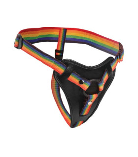 Трусы для страпона с кольцевым креплением Strap-U Rainbow harness, разноцветные, универсальный размер - No Taboo