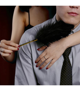 Перо Premium Feather Tickler UPKO с позолоченной ручкой - No Taboo