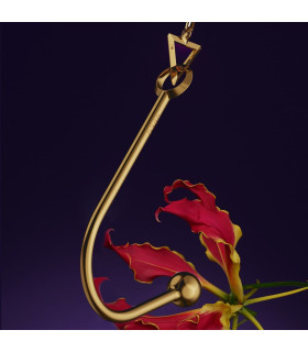 Вагинальный / анальный крюк UPKO Hook золотистый, с шариком на конце и кольцом для фиксации - No Taboo