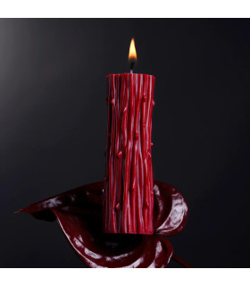 Свеча низкотемпературная UPKO Burning Thorn, красная, 158 г - No Taboo