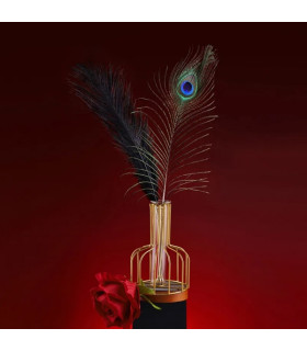 Набір пір'їнок тіклерів Sevanda, на металевій золотистій ручці, 2 шт. - No Taboo