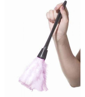 Метелочка з рожевим пір'ям - No Taboo