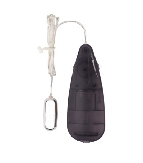 Віброкуля з пультом Chisa Hi-Basic, срібна, 4.5 х 1.5 см - No Taboo