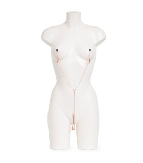 Зажимы для сосков и клитора Fifty Shades Freed с цепочкой, золотистые, 70 см - No Taboo