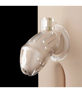 Пояс верности с тремя кольцами и ключом Sevanda, прозрачный - No Taboo