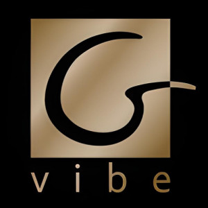 Gvibe (ex. Fun Toys)