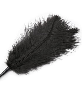 Тіклер на довгій ручці, чорний, 40 см - No Taboo