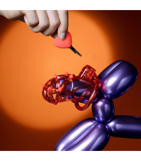 Ключик для пояса верности UPKO Caged Beast Male Chastity Device Kit, красный - No Taboo