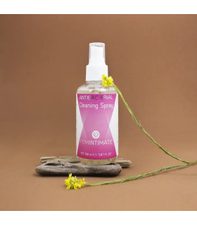 Спрей-очиститель Femintimate Antibacterial Cleaning Spray для секс-устройств, 150 мл - No Taboo
