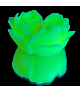 Свеча роза люминесцентная GlowKink 38 г, низкотемпературная, M, для БДСМ, салатовая - No Taboo