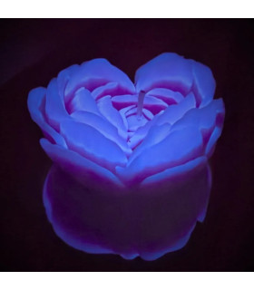 Свеча роза люминесцентная GlowKink 62 г, низкотемпературная, L, для БДСМ, фиолетовая - No Taboo