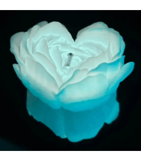 Свеча роза люминесцентная GlowKink 62 г, низкотемпературная, L, для БДСМ, белая - No Taboo