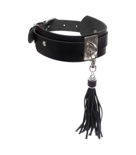 Ошейник с брелком кисточкой Kinky Diva Teasing Tassel черно-серебристый, 43.5 см х 4.5 см - No Taboo