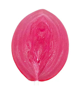 Леденец на палочке со вкусом клубники VidDushi SHE, 17 г - No Taboo