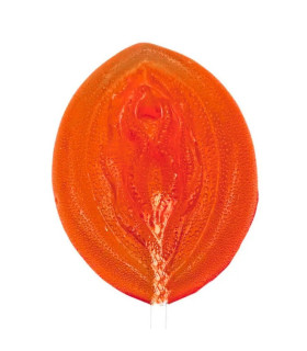 Леденец на палочке со вкусом Бейлиса VidDushi SHE, 17 г - No Taboo