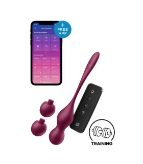 Вагінальні віброкульки Love Birds Vary з додатком і пультом, бордові, 22.2 х 3.3 см - No Taboo