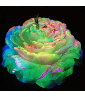 Премиум свеча люминесцентная GlowKink 91 г, низкотемпературная, для БДСМ, разноцветная - No Taboo