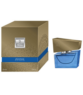 Духи мужские с феромонами HOT Shiatsu darkblue, 50 мл - No Taboo