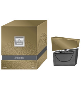 Духи мужские с феромонами HOT Shiatsu Grey, 50 мл - No Taboo