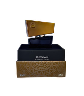 Духи мужские с феромонами HOT Shiatsu Grey, 50 мл - No Taboo