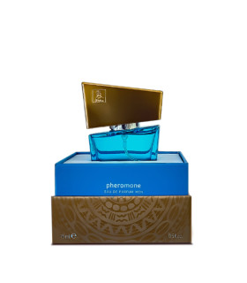 Духи мужские с феромонами HOT Shiatsu lightblue, 15 мл - No Taboo