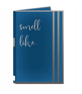 Духи с феромонами мужские Smell Like 11, 1ml - No Taboo