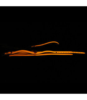 Ошейник IDEA SM с поводком и колокольчиком, оранжевый - No Taboo