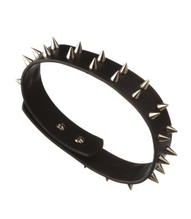 Ошейник кожаный IDEA SM с шипами, чёрный, 2.5 см - No Taboo