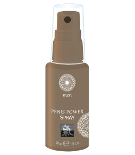 Спрей стимулирующий для мужчин SHIATSU Power Spray, 30 мл - No Taboo