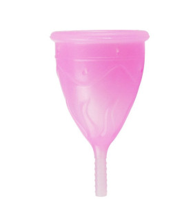 Менструальная чаша Femintimate Eve Cup с переносным душем - No Taboo