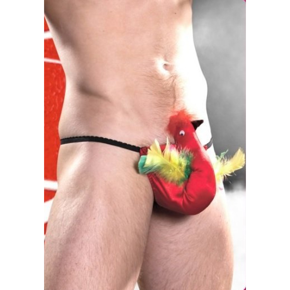 Трусы мужские Петушок (25603), zoom