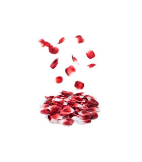 Ароматизированные лепестки роз ROSE PETAL EXPLOSION от Bijoux Indiscrets - No Taboo