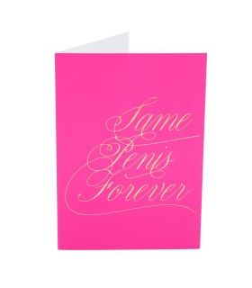 Подарочная открытка с набором Сашетов плюс конверт Kama Sutra Same Penis Forever клубничка - No Taboo